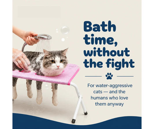 🐾 Paw Bath Stand